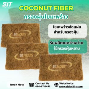 Coconut fiber